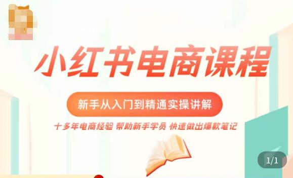 小红书电商新手入门到精通实操课，从入门到精通做爆款笔记，开店运营 - 阿伟资源库-阿伟资源库