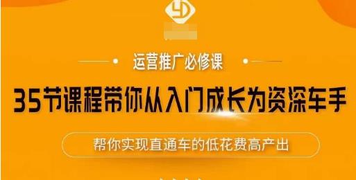 35节课程带你从入门成长为资深车手，让系统学习直通车成为可能，帮你实现直通车的低花费高产出 - 阿伟资源库-阿伟资源库
