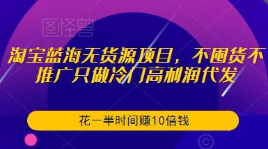 淘宝蓝海无货源项目，不囤货不推广只做冷门高利润代发，花一半时间赚10倍钱 - 阿伟资源库-阿伟资源库