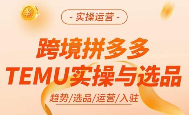 跨境拼多多TEMU实操与选品，​掌握平台运营方法技巧，选品避坑12条标准，爆款的底层思路等 - 阿伟资源库-阿伟资源库