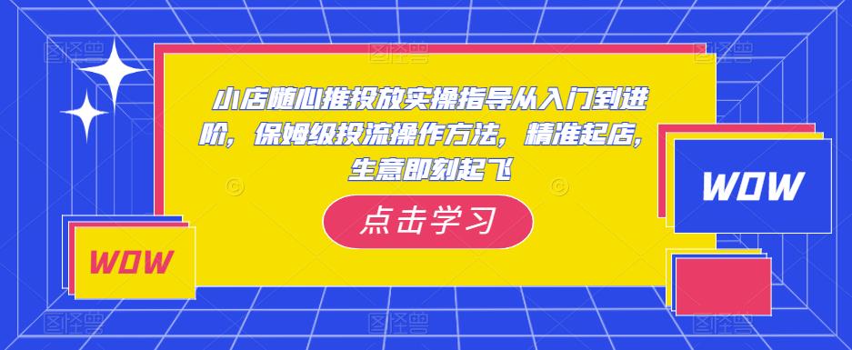 小店随心推投放实操指导从入门到进阶，保姆级投流操作方法，精准起店，生意即刻起飞 - 阿伟资源库-阿伟资源库