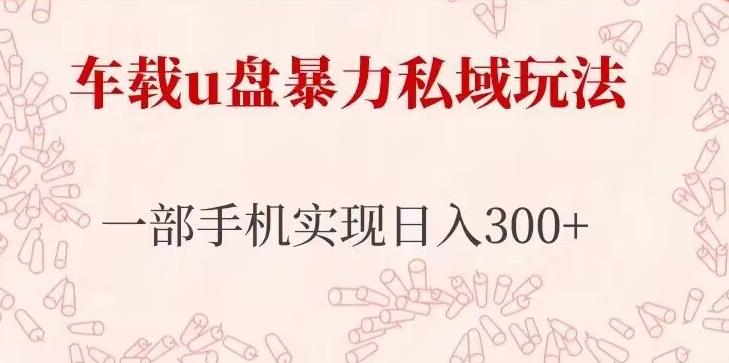 车载u盘暴力私域玩法，长期项目，仅需一部手机实现日入300+ - 阿伟资源库-阿伟资源库