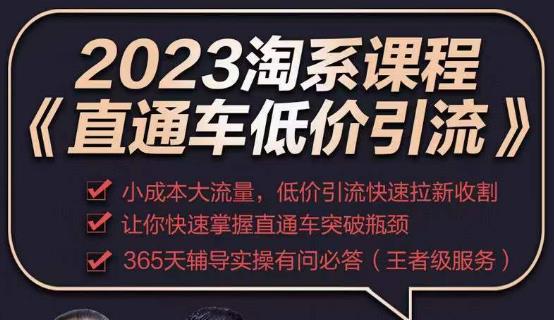 2023直通车低价引流玩法课程，小成本大流量，低价引流快速拉新收割，让你快速掌握直通车突破瓶颈 - 阿伟资源库-阿伟资源库