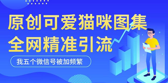 黑科技纯原创可爱猫咪图片，全网精准引流，实操5个VX号被加频繁 - 阿伟资源库-阿伟资源库