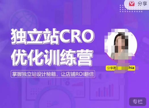 独立站CRO优化训练营，掌握独立站设计秘籍，打造高转化的独立站，让店铺ROI翻倍 - 阿伟资源库-阿伟资源库