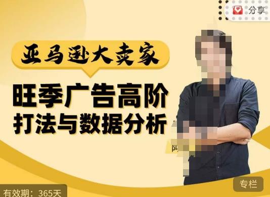 阿甘·亚马逊大卖家广告高阶打法与数据分析，走出传统广告误区；揭秘大卖惯用打法；数据驱动广告决策 - 阿伟资源库-阿伟资源库