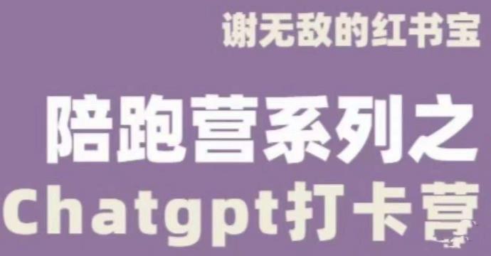 谢无敌ChatGPT打卡营，教你更好地使用ChatGPT来提高工作效率 - 阿伟资源库-阿伟资源库
