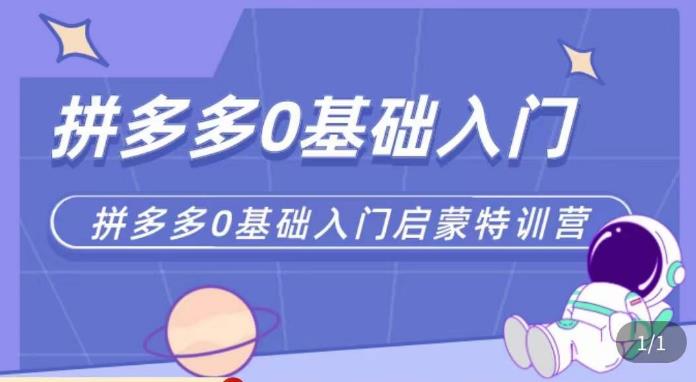六一电商·拼多多运营0-1实操特训营，拼多多从基础到进阶的可实操玩法 - 阿伟资源库-阿伟资源库
