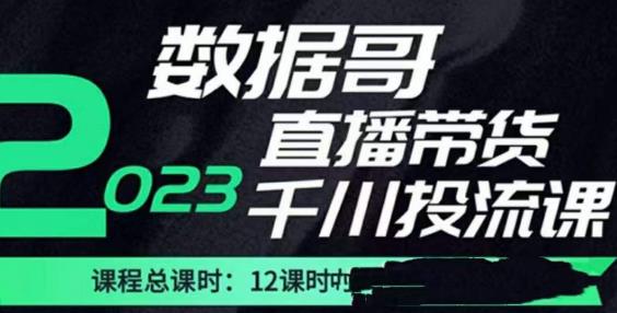 数据哥2023直播电商巨量千川付费投流实操课，快速掌握直播带货运营投放策略 - 阿伟资源库-阿伟资源库