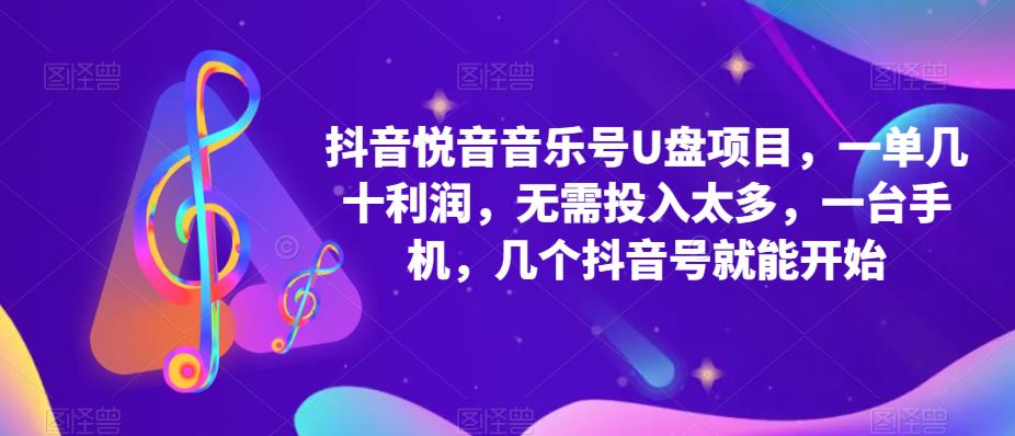抖音音乐号U盘项目，一单几十利润，无需投入太多，一台手机，几个抖音号就能开始 - 阿伟资源库-阿伟资源库