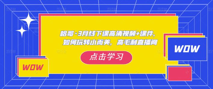 哈哥·3月线下实操课高清视频+课件，如何玩转小而美，高毛利直播间 - 阿伟资源库-阿伟资源库