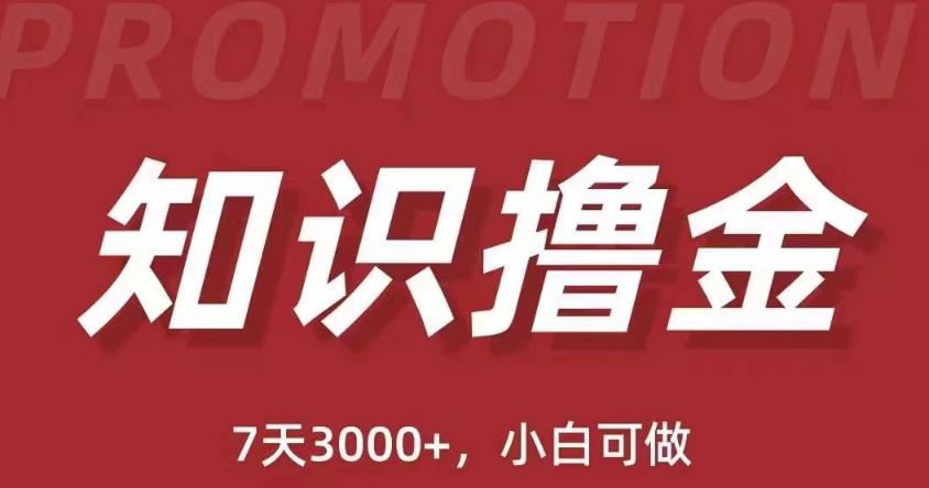 抖音知识撸金项目：简单粗暴日入1000+执行力强当天见收益(教程+资料) - 阿伟资源库-阿伟资源库