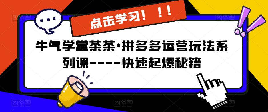 牛气学堂茶茶•拼多多运营玩法系列课—-快速起爆秘籍【更新】 - 阿伟资源库-阿伟资源库