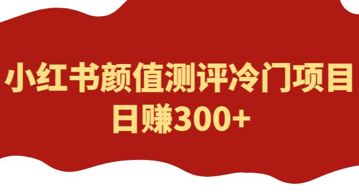 外面1980的项目，小红书颜值测评冷门项目，日赚300+【揭秘】 - 阿伟资源库-阿伟资源库