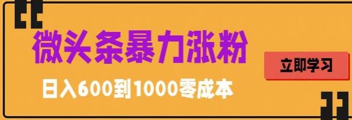 微头条暴力涨粉技巧搬运文案就能涨几万粉丝，简单0成本，日赚600【揭秘】 - 阿伟资源库-阿伟资源库