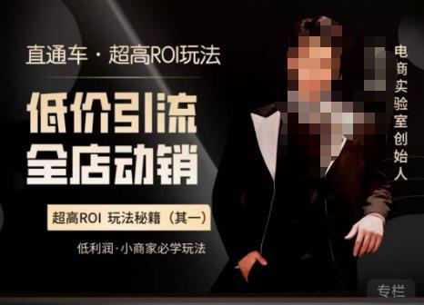 电商冰可乐·直通车·《低价引流·全店动销》，直通车·超高ROI玩法（其一）全店动销必学玩法 - 阿伟资源库-阿伟资源库