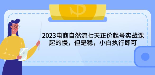 2023电商自然流七天正价起号实战课：起的慢，但是稳，小白执行即可！ - 阿伟资源库-阿伟资源库