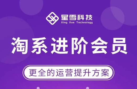 星雪·淘系进阶课程，快速提升突破技能流量瓶颈必备（更新2023年5月） - 阿伟资源库-阿伟资源库