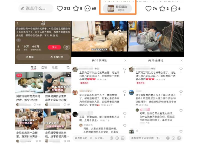 小红书蓝海类赛道：小动物打赏与购买变现副业项目，一条龙玩法分享给你！ - 阿伟资源库-阿伟资源库