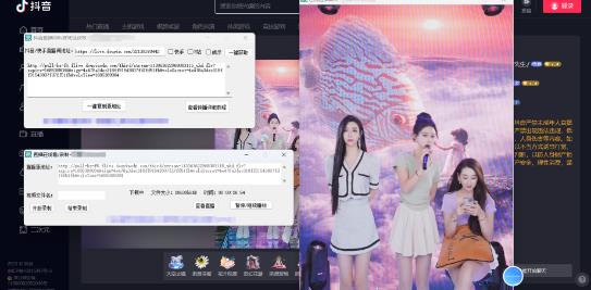 最新电脑版抖音/快手/B站直播源获取+直播间实时录制+直播转播软件【全套软件+详细教程】 - 阿伟资源库-阿伟资源库