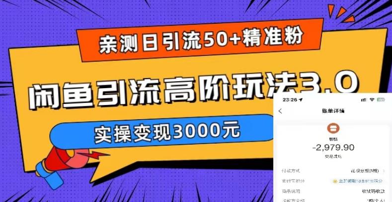亲测日引50+精准粉，闲鱼引流高阶玩法3.0，实操变现3000元【揭秘】 - 阿伟资源库-阿伟资源库