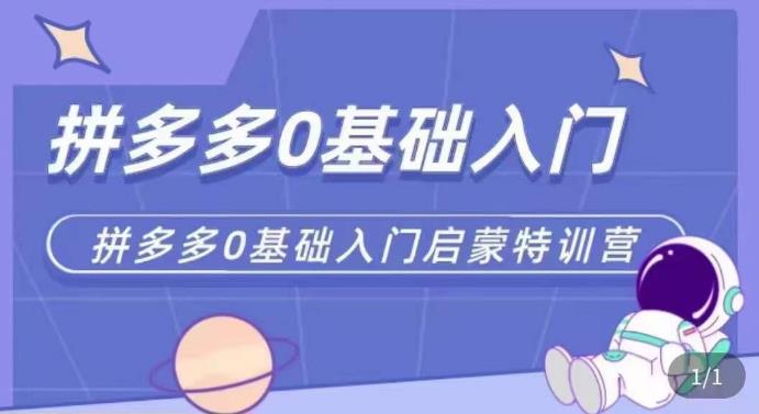 拼多多运营0-1实操特训营，拼多多0基础入门，从基础到进阶的可实操玩法 - 阿伟资源库-阿伟资源库