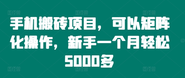 手机搬砖项目，可以矩阵化操作，新手一个月轻松5000多 - 阿伟资源库-阿伟资源库