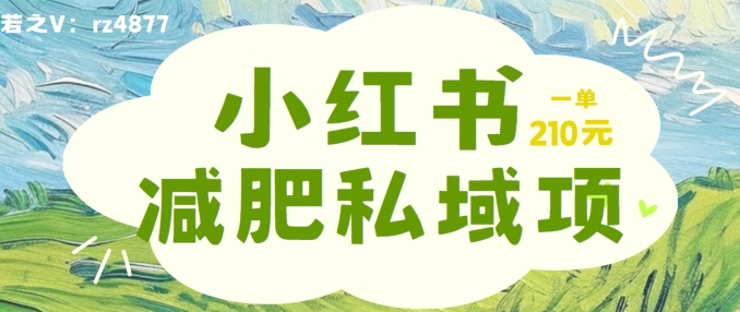 小红书减肥粉，私域变现项目，一单就达210元，小白也能轻松上手【揭秘】 - 阿伟资源库-阿伟资源库