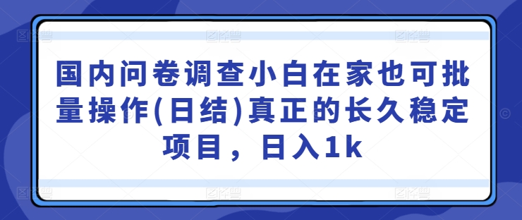 国内问卷调查小白在家也可批量操作(日结)真正的长久稳定项目，日入1k【揭秘】 - 阿伟资源库-阿伟资源库