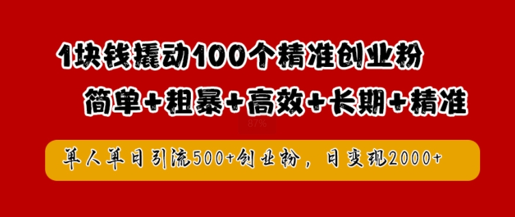1块钱撬动100个精准创业粉，简单粗暴高效长期精准，单人单日引流500+创业粉，日变现2k【揭秘】 - 阿伟资源库-阿伟资源库