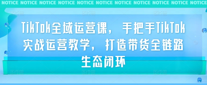 TikTok全域运营课，手把手TikTok实战运营教学，打造带货全链路生态闭环 - 阿伟资源库-阿伟资源库