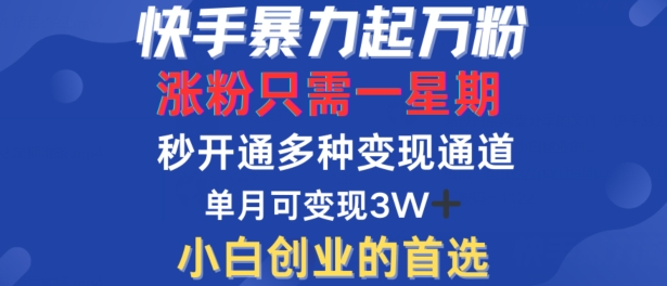 快手暴力起万粉，涨粉只需一星期，多种变现模式，直接秒开万合，单月变现过W【揭秘】 - 阿伟资源库-阿伟资源库
