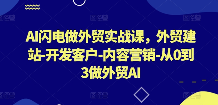 AI闪电做外贸实战课，​外贸建站-开发客户-内容营销-从0到3做外贸AI（更新） - 阿伟资源库-阿伟资源库