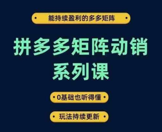 拼多多矩阵动销系列课，能持续盈利的多多矩阵，0基础也听得懂，玩法持续更新 - 阿伟资源库-阿伟资源库