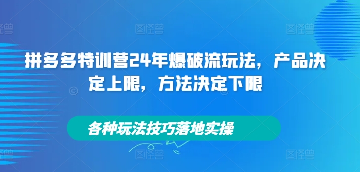 拼多多特训营24年爆破流玩法，产品决定上限，方法决定下限，各种玩法技巧落地实操 - 阿伟资源库-阿伟资源库