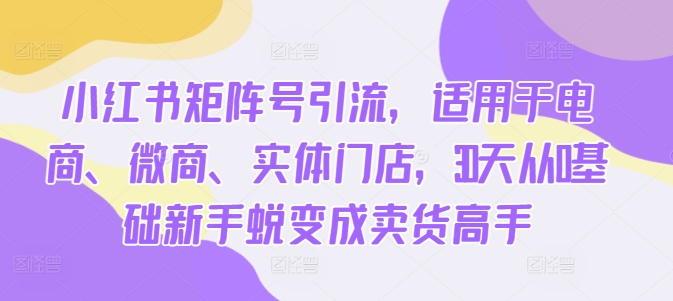 小红书矩阵号引流，适用于电商、微商、实体门店，30天从0基础新手蜕变成卖货高手 - 阿伟资源库-阿伟资源库