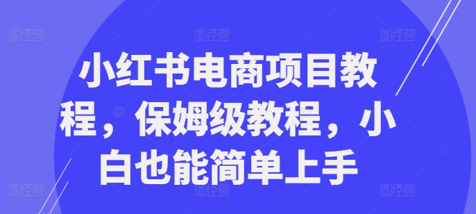 小红书电商项目教程，保姆级教程，小白也能简单上手 - 阿伟资源库-阿伟资源库