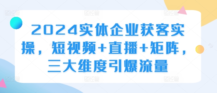 2024实体企业获客实操，短视频+直播+矩阵，三大维度引爆流量 - 阿伟资源库-阿伟资源库