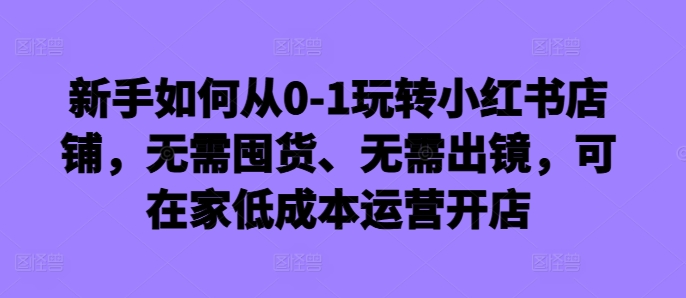 新手如何从0-1玩转小红书店铺，无需囤货、无需出镜，可在家低成本运营开店 - 阿伟资源库-阿伟资源库