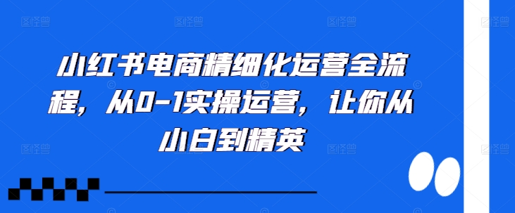 小红书电商精细化运营全流程，从0-1实操运营，让你从小白到精英 - 阿伟资源库-阿伟资源库
