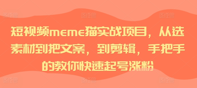 短视频meme猫实战项目，从选素材到把文案，到剪辑，手把手的教你快速起号涨粉 - 阿伟资源库-阿伟资源库