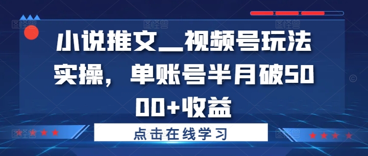 小说推文—视频号玩法实操，单账号半月破5000+收益 - 阿伟资源库-阿伟资源库