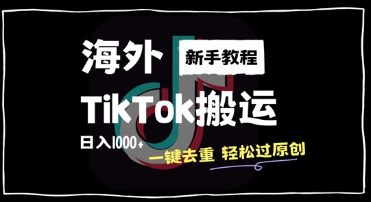 2024最新海外TikTok搬运玩法，一键去重轻松过原创，新手无经验也能日入1k【揭秘】 - 阿伟资源库-阿伟资源库