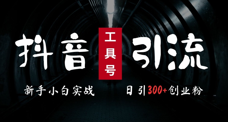 2024最新抖音工具号引流玩法，高效日引300+创业粉，当天变现5k，小白也可成为实战高手 - 阿伟资源库-阿伟资源库