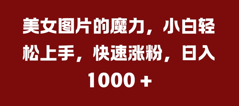 美女图片的魔力，小白轻松上手，快速涨粉，日入几张【揭秘】 - 阿伟资源库-阿伟资源库