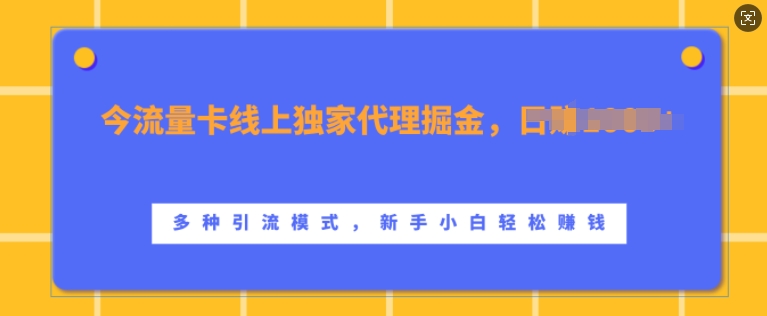 流量卡线上独家代理掘金，日入1k+ ，多种引流模式，新手小白轻松上手【揭秘】 - 阿伟资源库-阿伟资源库