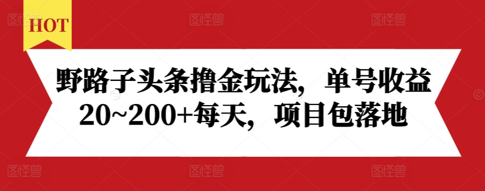 野路子头条撸金玩法，单号收益20~200+每天，项目包落地 - 阿伟资源库-阿伟资源库