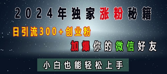 2024年独家涨粉秘籍，日引流300+创业粉，加爆你的微信好友，小白也能轻松上手 - 阿伟资源库-阿伟资源库