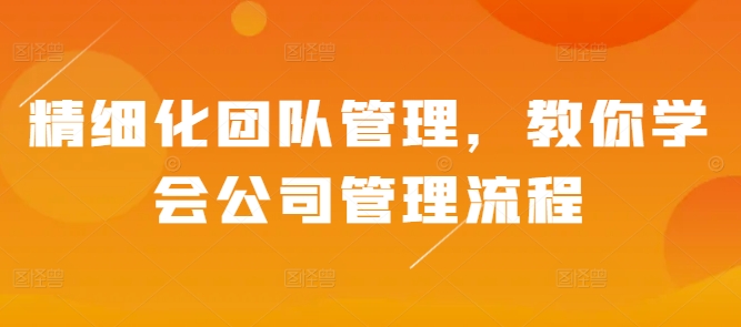 精细化团队管理，教你学会公司管理流程 - 阿伟资源库-阿伟资源库