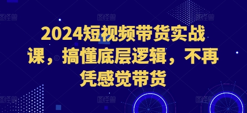 2024短视频带货实战课，搞懂底层逻辑，不再凭感觉带货 - 阿伟资源库-阿伟资源库